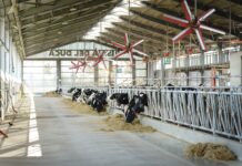 Risaia del Duca, l’ingegneria del digestato digestato