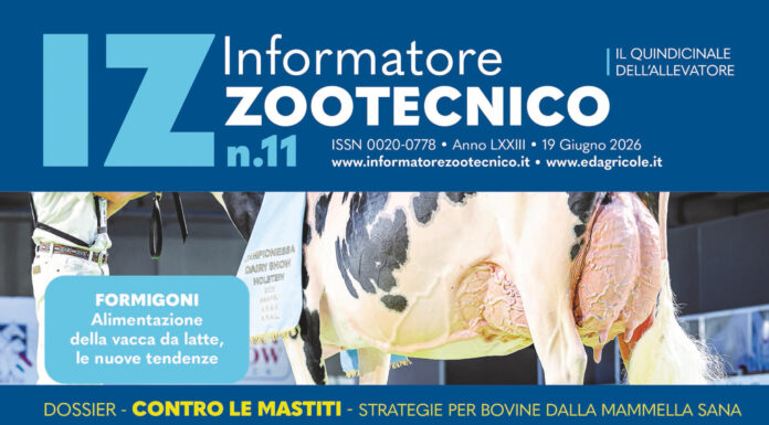 È uscito IZ 11.2026, con un dossier sulle strategie per contrastare le mastiti