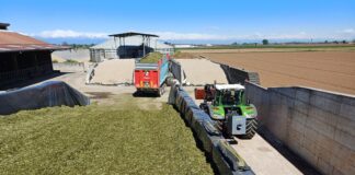 unifeed