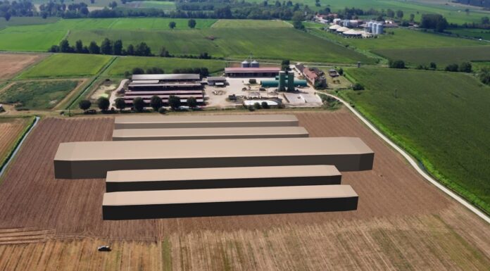 Biagru Farm: quando un’idea diventa impresa