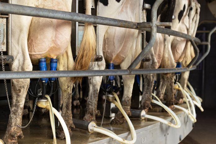 dairy data warehouse