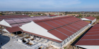 Stalle moderne tra efficienza energetica e comfort comfort