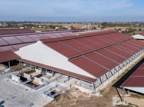 Stalle moderne tra efficienza energetica e comfort comfort