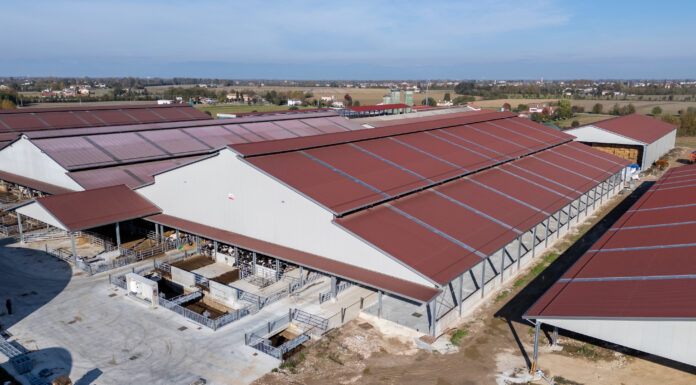Stalle moderne tra efficienza energetica e comfort comfort
