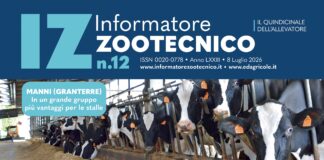 È uscito IZ 12.2026, con il dossier sull’alimentazione della bovina bovina