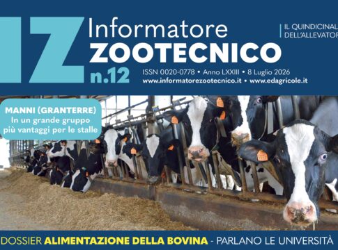 È uscito IZ 12.2026, con il dossier sull’alimentazione della bovina bovina