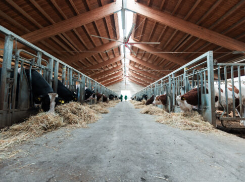 centri genetici