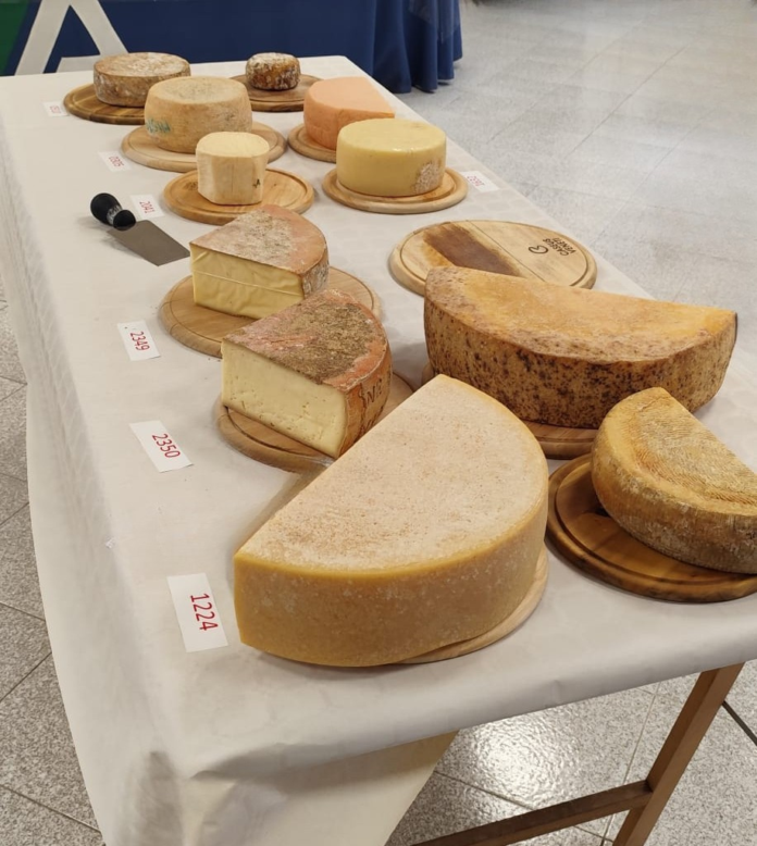 formaggi tavolo concorso