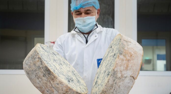 Gorgonzola, produzione stabile nel primo semestre 2026 Gorgonzola