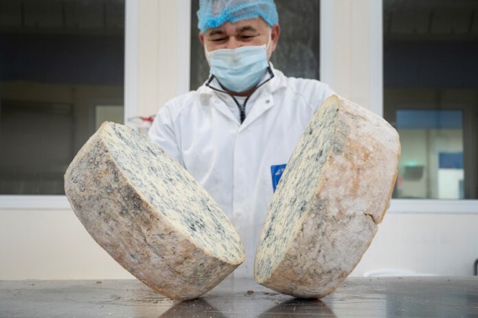 Gorgonzola