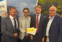 Burro del Piemonte, agli inizi del percorso verso la Dop Burro del Piemonte