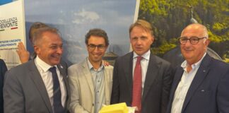 Burro del Piemonte