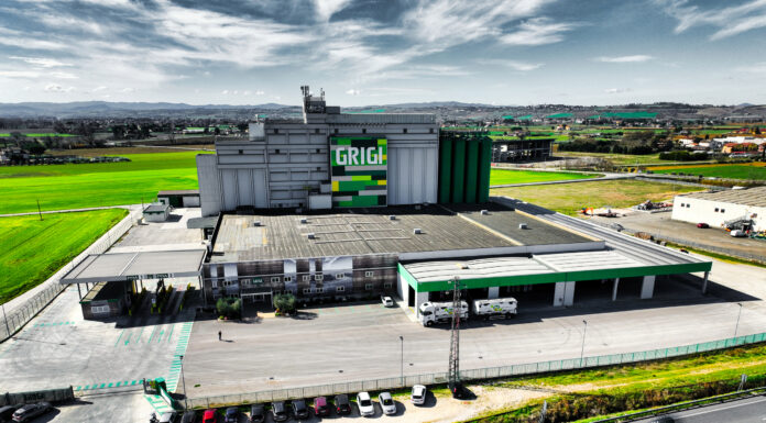 Grigi