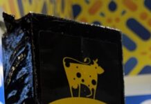 Scoperti falsi Parmigiano Reggiano al Sial di Parigi falsi