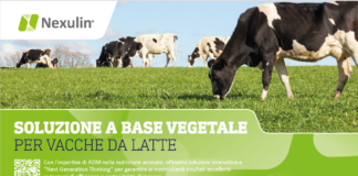 Nexulin, la soluzione fitogenica per le vacche da latte nexulin