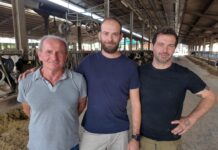 Azienda Frattini: allevatore dell’Anno 2026 per la categoria innovazione innovazioni