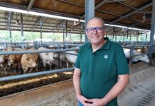 Azienda Olivieri: allevatore dell’Anno 2026 per la categoria bovini da carne bovini da carne