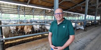 Azienda Olivieri: allevatore dell’Anno 2026 per la categoria bovini da carne bovini da carne