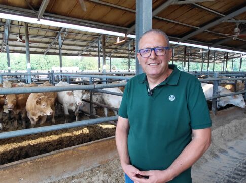 Azienda Olivieri: allevatore dell’Anno 2026 per la categoria bovini da carne bovini da carne