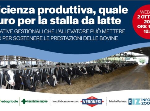 L’efficienza produttiva della stalla da latte, come sostenere le prestazioni delle bovine