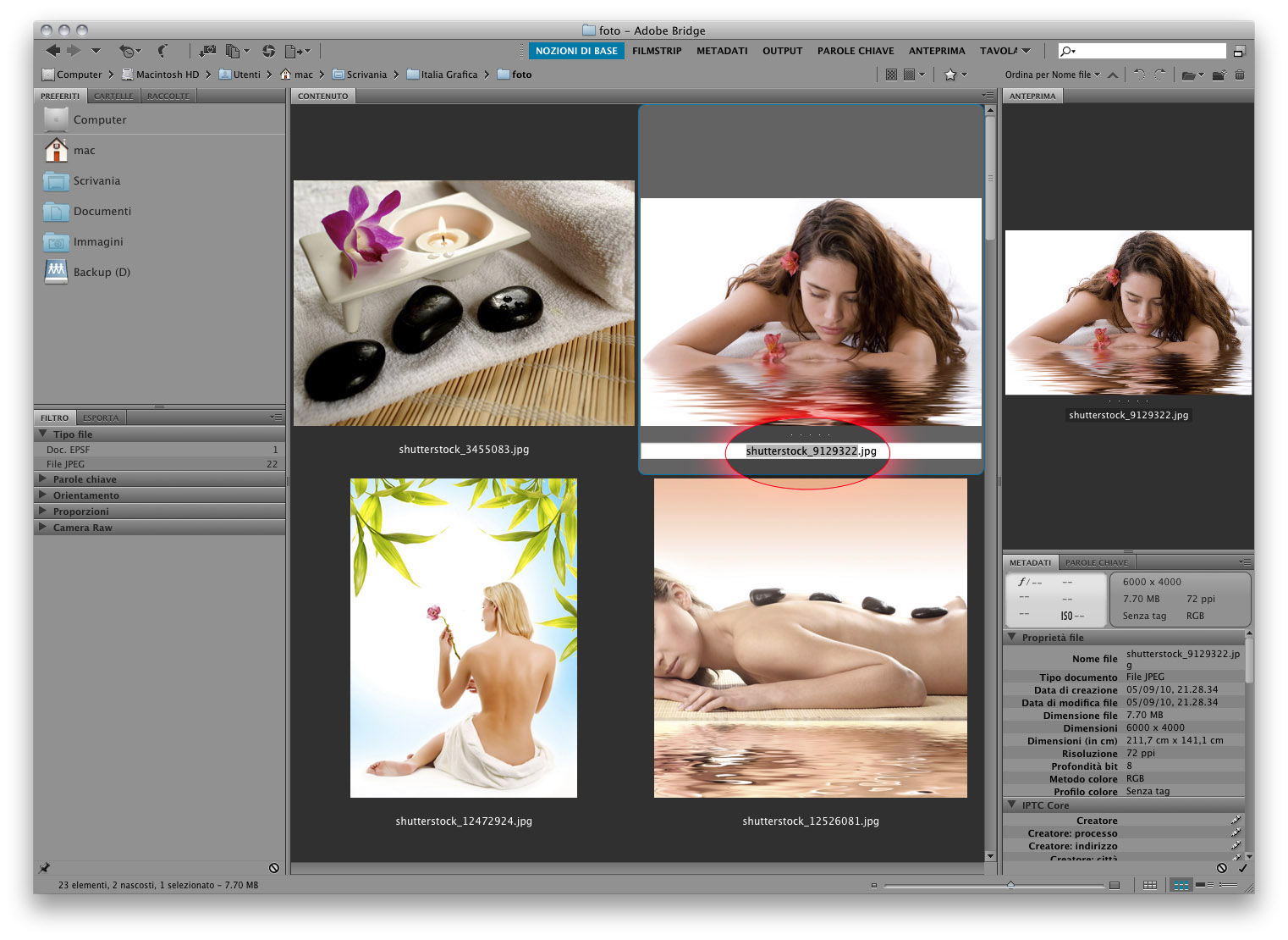 Fuori i nomi! Immagine 1