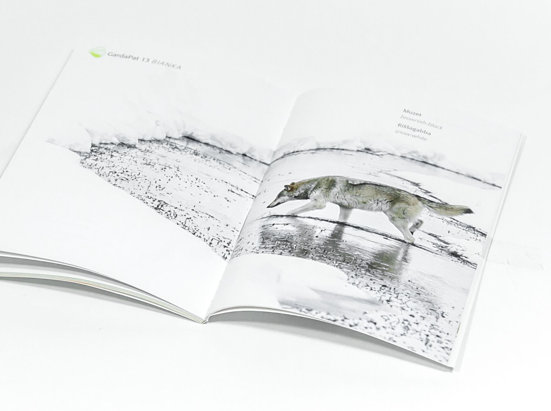 GardaPat 13: perché il bianco… non è solo bianco