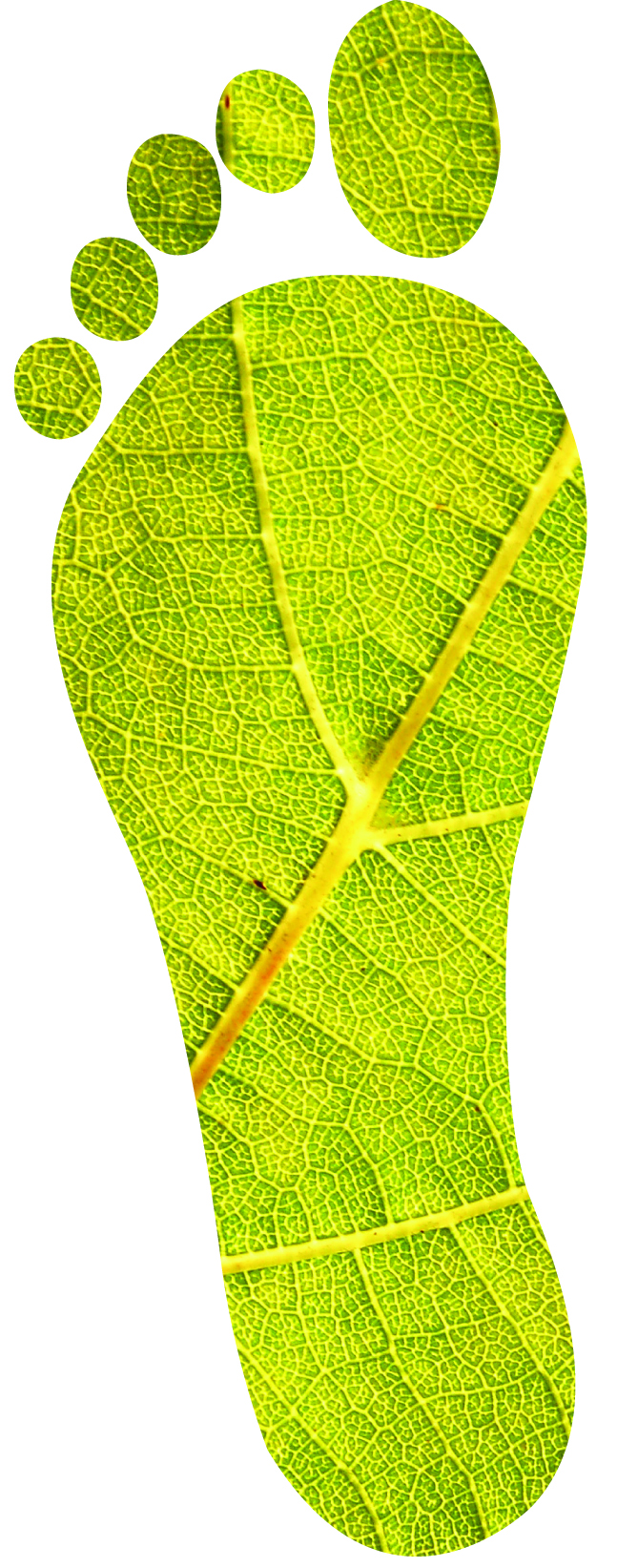 piede1 Iso 16579: la carbon footprint dei prodotti stampati. Uno strumento di efficace comunicazione e vera analisi dei processi di produzione.