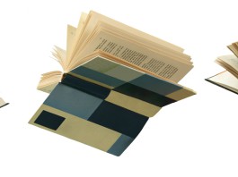 Dati Nielsen–Aie: la rivincita delle librerie indipendenti