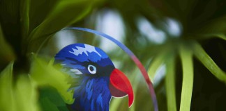 La versatilità del plexiglas ora la compri sul sito Pixartprinting