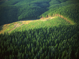 Gli stampatori davanti alla scelta delle tecnologie digitali