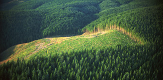 Gli stampatori davanti alla scelta delle tecnologie digitali