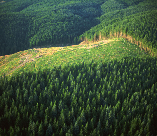 Gli stampatori davanti alla scelta delle tecnologie digitali