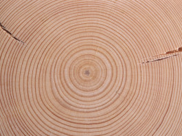 La richiesta di Cepi e Integraf per emendare l’allegato dell’Eutr includendo i prodotti stampati