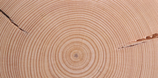 La richiesta di Cepi e Integraf per emendare l’allegato dell’Eutr includendo i prodotti stampati