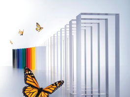 Il successo passa dal supporto giusto