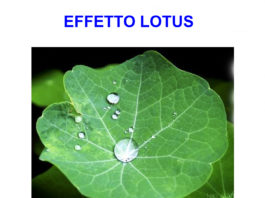 Confezioni alimentari sempre più sicure e a più lunga conservazione