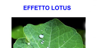 Confezioni alimentari sempre più sicure e a più lunga conservazione