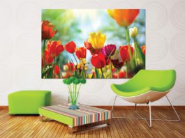 Agfa Graphics promuove l’integrazione della stampa nei processi produttivi