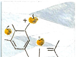 Un’etichetta per la bottiglia celebrativa del Torcolato DOC