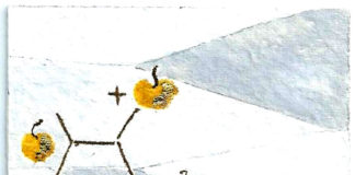 Un’etichetta per la bottiglia celebrativa del Torcolato DOC