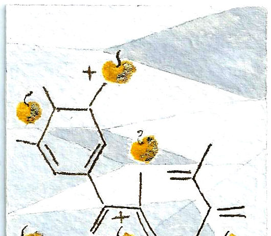 Un’etichetta per la bottiglia celebrativa del Torcolato DOC