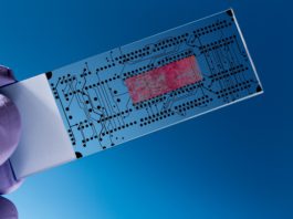 L’Italia tecnologica delle Business App in mostra a Technology Hub