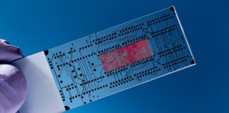 L’Italia tecnologica delle Business App in mostra a Technology Hub