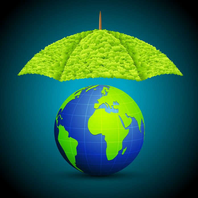 17945496 - illustration of earth with grass umbrella on abstract background