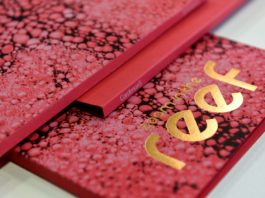 In anteprima mondiale a Packaging Première la nuova creative paper firmata Gruppo Cordenons