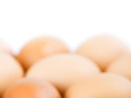 Imballaggi sostenibili e resistenti, grazie ai gusci d’uovo