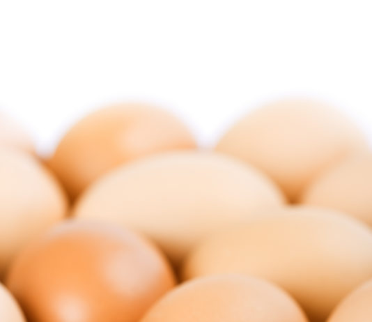 Imballaggi sostenibili e resistenti, grazie ai gusci d’uovo