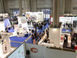 PTE gennaio 2018: cresce l’offerta espositiva