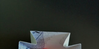 Albertini Packaging Group candidata al Luxe Pack in green Awards Monaco 2019