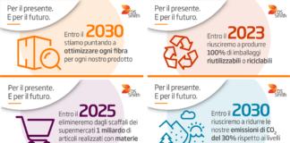 DS Smith lancia una nuova strategia di sostenibilità “Per il Presente e per il Futuro”